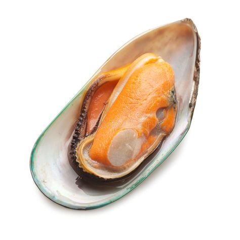 Green mussel. A single half of a green mussel isolated on white studio backgroun #Sponsored , #AFFILIATE, #paid, #mussel, #green, #studio, #single Alex Star, Green Mussels, White Studio Background, Graphic Poster Art, Studio Background, Art Model, Food App, Green Background, Sangria