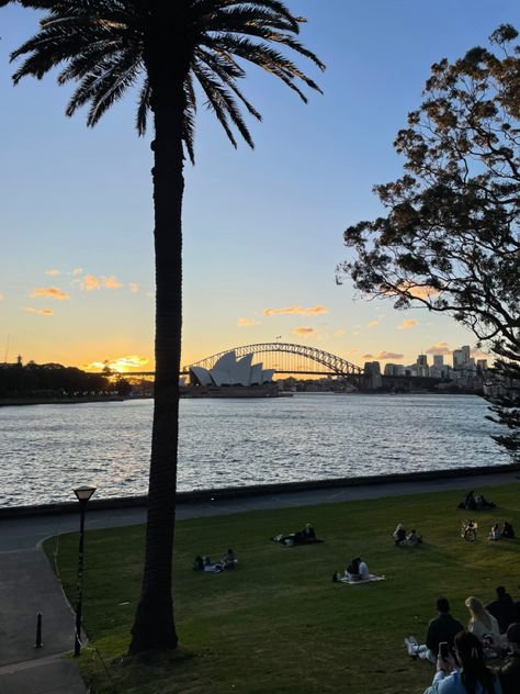 #sydney #operaHouse #harbourbridge #australia #aesthetic #green #picnic #evening Sydney Australia Travel Aesthetic, Australia Aesthetic Sydney, Australia Sydney Aesthetic, Australia Melbourne Aesthetic, Syd Core, Sydney Australia Aesthetic, Aesthetic Sydney, Australian Aesthetic, Sydney Aesthetic