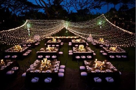 Wedding Reception Layout Floor Plans, Reception Layout Floor Plans, Outdoor Night Wedding, Romantic Night Wedding, Lawn Party Decorations, Dinners Ideas, Lawn Wedding, Wedding Reception Layout, Reception Layout