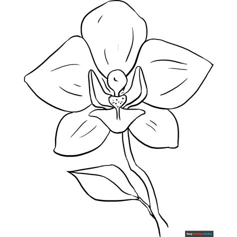 Free Orchid Coloring Page for Kids Flower Coloring Pages For Kids, Orchid Drawing, Flower Coloring Sheets, Printable Flower Coloring Pages, Hawaiian Quilt Patterns, Rose Coloring Pages, Garden Coloring Pages, Birds Of Paradise Flower, Printable Flower