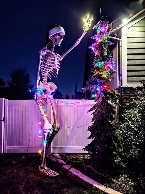 12ft Skeleton Christmas, Skeleton Christmas Decorations, 12 Foot Skeleton Thanksgiving, 12 Foot Skeleton Ideas Halloween, Giant Skeleton Christmas, Christmas Skeleton Decorations, 12 Foot Skeleton Christmas, 12 Foot Skeleton Ideas, Skelly Ideas