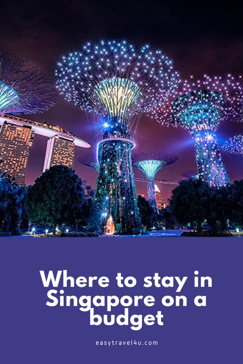 Where to stay in Singapore on a budget? In this post, I will help you to find the best areas to stay in Singapore on a budget and budget-friendly things to do and see in each area. Where To Stay In Singapore, Singapore Hotels, Family Hotel, Singapore Travel, Cheap Hotels, Budget Hotel, Easy Travel, Best Budget, Best Location