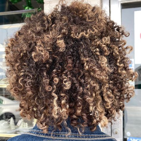 Natural Hair Balayage, Balayage On Natural Hair, Curly Hair Specialist, Graduation Hair, Highlights Curly, Dyed Curly Hair, Highlights Curly Hair, Brown Hair Dye, Curly Hair Types