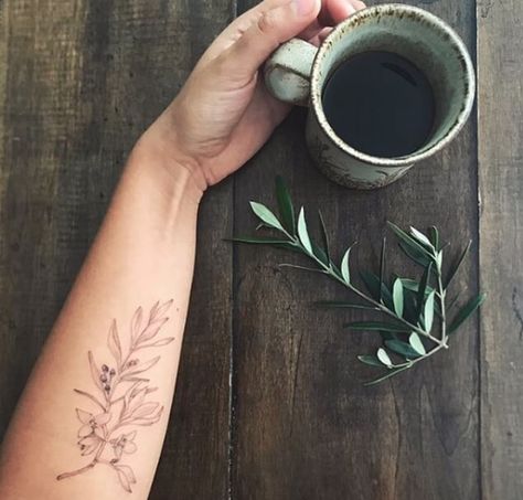 olive branch tattoo fine realistic bloom Olive Branch Tattoo With Flowers, Olive Branch And Flower Tattoo, Olive Branch Flower Tattoo, Cross Olive Branch Tattoo, Olive Branch With Flowers Tattoo, Fine Line Olive Branch Tattoo, Tat Placement, Fine Tattoo, Olive Tattoo