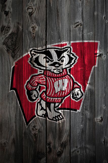 Love this!!!!! wisconsin badgers | Recent Photos The Commons Getty Collection Galleries World Map App ... Wisconsin Pride, Bucky Badger, Wisconsin Badgers Football, Badger Football, Wisconsin Badger, Wisconsin Football, Wisconsin Badgers Logo, Uw Madison, 4 Wallpaper