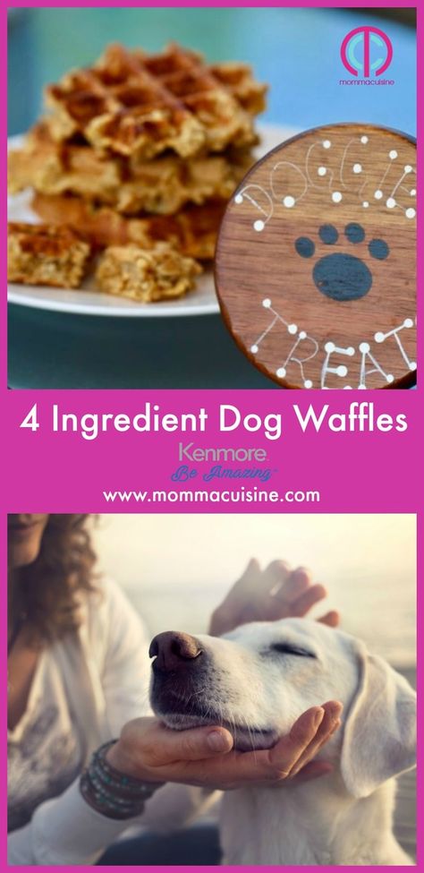 Dog Waffles Recipes Easy, Dog Waffle Treats, Waffle Iron Dog Treats, Dog Waffles Recipes, Waffles For Dogs, Dog Waffles, Doggie Waffles, Dog Treats In Waffle Maker, Recipes For Dash Dog Treat Maker