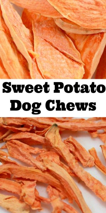 Smores Dog Treats, Sweet Potato Dehydrated, Dried Sweet Potatoes For Dogs, Sweet Potato Dog Chews Air Fryer, Allergy Free Dog Treat Recipes, Dehydrated Sweet Potato Chips, How To Dehydrate Sweet Potatoes For Dogs, Air Fryer Dehydrated Sweet Potato Dog Treats, Dehydrated Sweet Potato Dog Treats Dehydrator