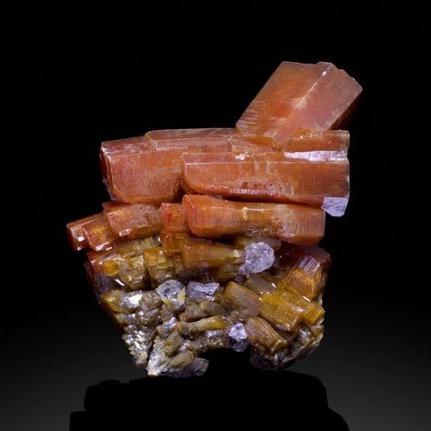 Vanadinite (McGill Coll.) - Apex mine, San Carlos, Manuel Benavides Mun., Chihuahua, Mexico - Bid on Mineralauctions.com Red Topaz, Chihuahua Mexico, Red Cloud, Geology Rocks, Fine Minerals, Arizona Usa, Crystal Magic, Mineral Stone, Minerals And Gemstones