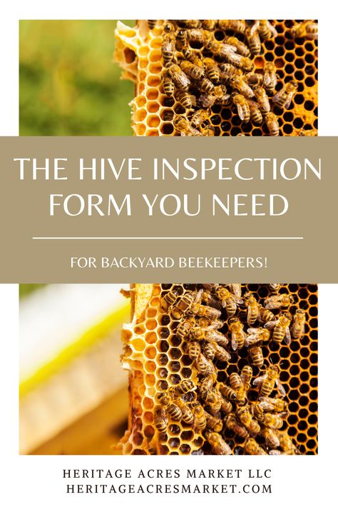 Bee Keeping For Beginners, Diy Beekeeping, Acreage Ideas, Backyard Bees, Honey Bee Farming, Bee Keeping Hives, Honey Bees Keeping, West Coast Canada, Keeping Bees