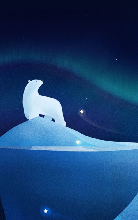 Screen Wallpaper White, Northern Lights Artwork, Polar Bear Wallpaper, Polar Bear Art, Artwork Wallpaper, White Polar Bear, Bear White, Wallpaper White, Bear Illustration