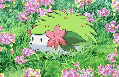 Pokemon Shaymin has two forms, one is land form and another is sky, namely, it is Grass-type and Flying-type pokemon. Obviously, this ... Shaymin Art, Shaymin Pokemon, Pokemon Screencaps, Land Form, Beautiful Pokemon, Cosplay Pokemon, Flying Type Pokemon, Grass Type Pokemon, Flying Type