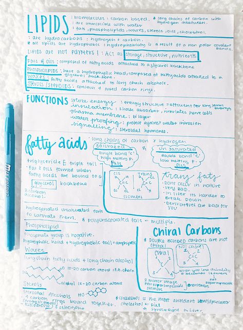 #neathandwriting #neatnotes #prettynotes #lipids Lipids Notes Biology, Lipids Biochemistry Notes, Lipids Structure, Lipids Notes, Sciences Aesthetic, Carbohydrates Biology, Bio Notes, Biochemistry Notes, Learn Biology