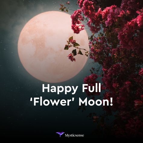 Tonight is the best time to watch the full moon for May. May’s full moon is known as the ‘flower moon’ due to all of the flowers that are in bloom this month. Although the full moon is technically tomorrow afternoon, it will be most illuminated tonight and tomorrow night. Consider scrying under the full moon by floating flower petals in a bowl of water and looking for any shapes that might appear! Full Flower Moon, Floating Flower, Flower Moon, Astrology And Horoscopes, Floating Flowers, The Full Moon, In Bloom, Flower Petals, A Bowl