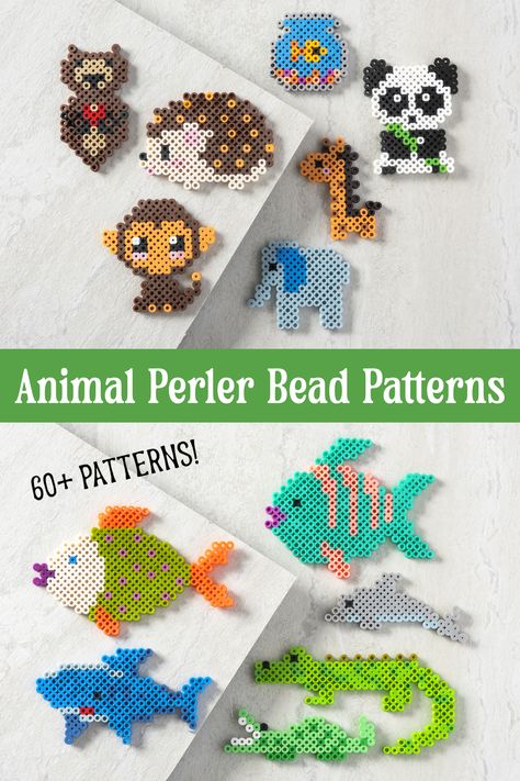 Animal lovers, you're going to love these 60+ perler bead patterns! These animal perler beads include mammals, fish, reptiles, amphibians, birds, and more. Perler Bead Lizard Pattern, Melty Bead Animals, Easy Beads Patterns, 3d Perler Bead Patterns Animals, Perler Beads Dolphin, Baby Shark Perler Bead Pattern, Perler Bead Cow Pattern, Peeler Bead Animals, Small Animal Perler Bead Patterns