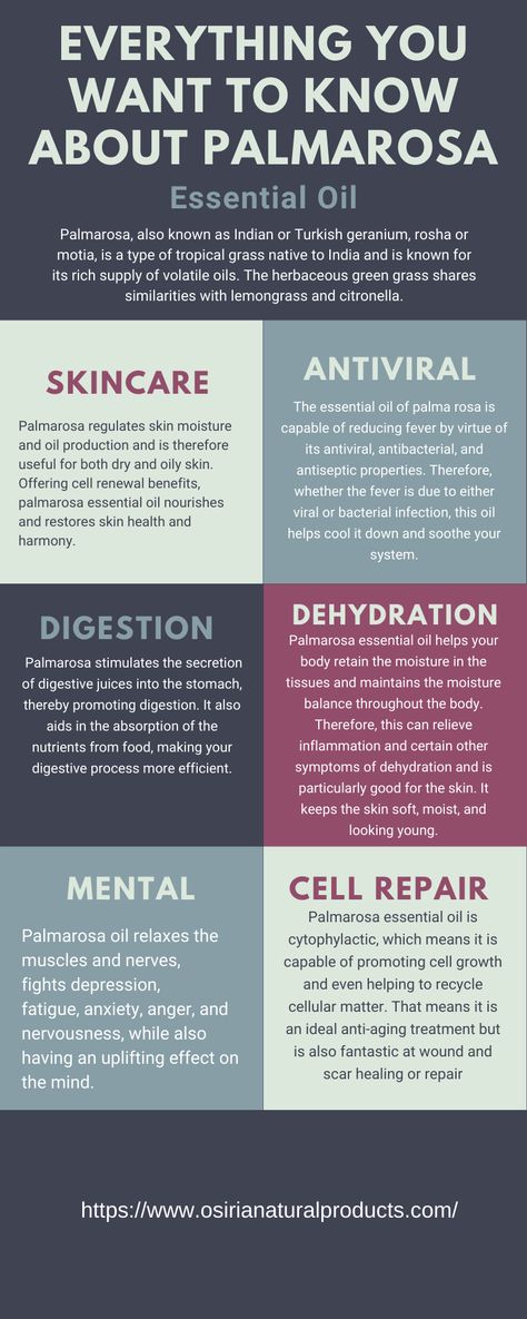 Palmarosa essential oil benefits. What does Palmarosa oil smell like? Palmarosa essential oil magical properties Palmarosa Essential Oil Benefits, Palmarosa Essential Oil Blends, Palmarosa Diffuser Blend, Doterra Palmarosa, Essential Oil Magical Properties, Oil Magical Properties, Lemongrass Essential Oil Benefits, Antiviral Essential Oils, Palmarosa Essential Oil