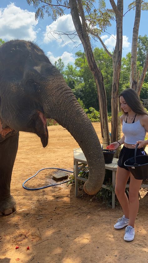 Elephant Sanctuary Thailand Outfit, Elephant Sanctuary Thailand, Thailand Outfit, Laos Travel, Holiday Pics, Thailand Trip, Elephant Sanctuary, Pics Inspo, 2023 Vision