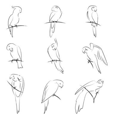 Parrot Tattoo, Parrot Drawing, Petit Tattoo, Bird Drawing, Animal Sketches, Drawing Set, Birds Tattoo, Bird Drawings, Piercing Tattoo