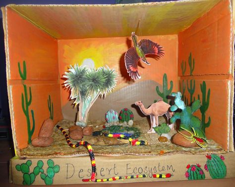 Desert Diorama Ideas For Kids, Ecosystems Diorama, Shoe Box Diorama, Desert Crafts, Biomes Project, Safari Crafts, Desert Diorama, Diorama Kids, Ecosystems Projects