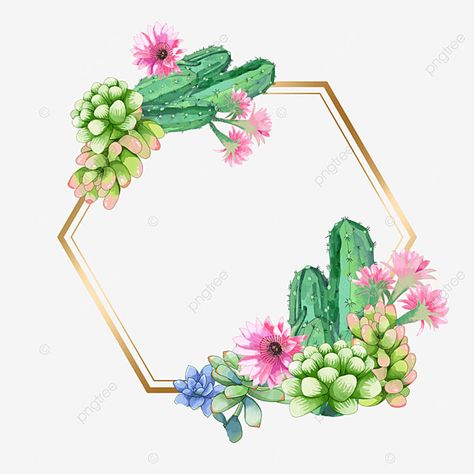 Succulent Border, Black Succulents, Succulents Illustration, Cute Png, Remove Background From Image, Succulents Plants, Watercolor Plants, Gold Background, Green Watercolor