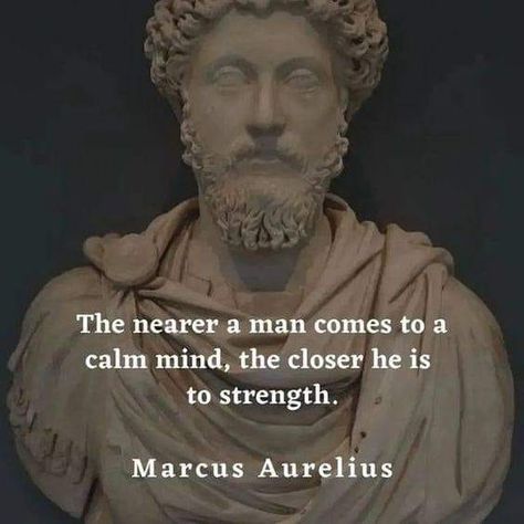 Stoicism Digest Quotes Stoicism, Marcus Aurelius Quotes, Philosophical Thoughts, Stoicism Quotes, Calm Mind, Stoic Quotes, Daily Wisdom, Ju Jitsu, Unique Images