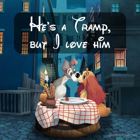 Lady And The Tramp Quotes, Disney Lady And The Tramp, Lady And The Tramp, Ever After High, Disney Quotes, Disney Plus, Disney Ladies, In A Nutshell, Plastic Canvas Patterns