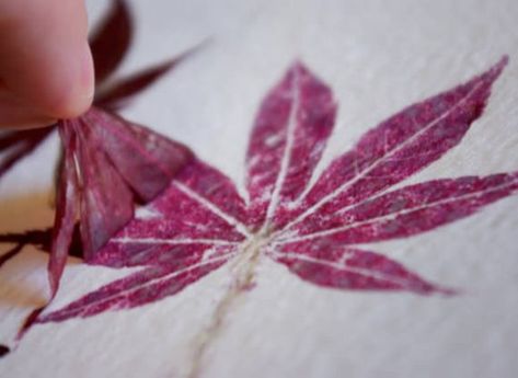 Drawing & Painting Without Pencils or Paint | Handmade Charlotte Eco Printing, Nature Crafts, Crafty Craft, Leaf Print, Diy Projects To Try, Crafts To Do, Leaf Prints, Shibori, Fall Crafts