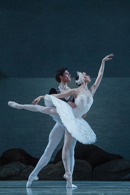 Xander Parish, Viktoria Tereshkina | Mariinsky Ballet: Swan … | Flickr Ballet Couple, Swan Lake Ballet, The Royal Opera House, Ballet Pictures, Royal Opera House, Ballet Beauty, Ballet Performances, Dance Photography Poses, Ballet Poses