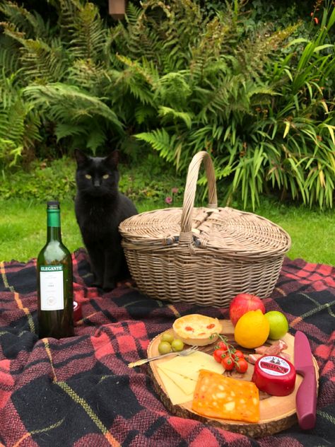 Picnic Core Aesthetic, Picnic With Dog, Cat Picnic, Cat Cottagecore Aesthetic, Picnic Photo Shoot, Cat In Field Aesthetic, + Core + Aesthetic, Summer Picnic, Pretty Cats