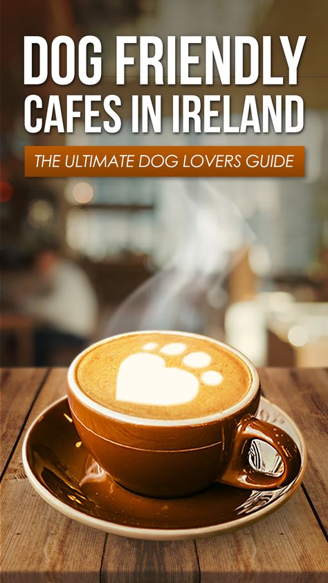 Dog Friendly Coffee Shop, Dog Friendly Cafe Ideas, Pet Friendly Cafe Ideas, Dog Friendly, Pet Friendly Cafe, Dog Cafe Ideas, Dog Coffee Shop, Pet Cafe Interior, Dog Cafe Aesthetic