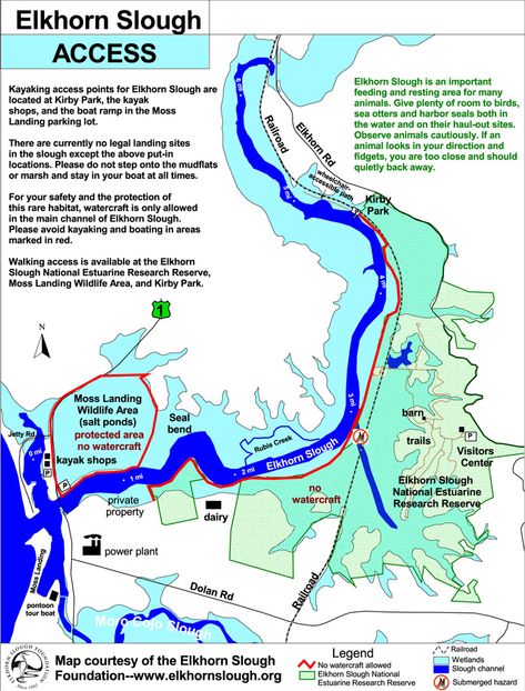 Elkhorn Slough, Elk Horn, Have A Safe Trip, Stand Up Paddling, Armchair Travel, Kayak Boats, Kings Canyon, Sea Otter, Vacation Planning