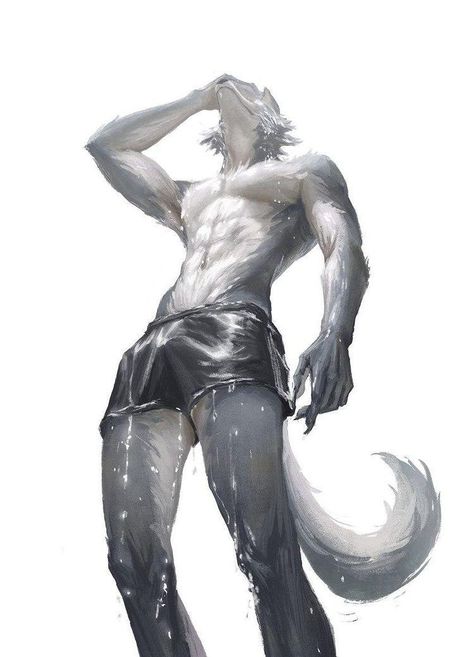 Anime Wolf, Handsome Anime Guys, Handsome Anime, Art Reference Poses, Cute Art, Anime Guys, Manga Anime, Character Art, Star Wars