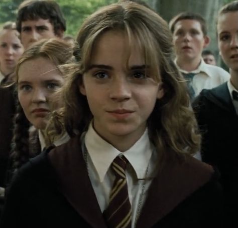 Hermione Granger Icons, Emma Watson Icons, Halloween Dark Academia, Granger Aesthetic, Harry Potter Rpg, Hermione Granger Aesthetic, Emma Watson Harry Potter, Harry Potter Cosplay, Harry Potter Icons