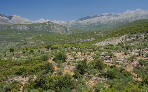 Greek mountain landscape, Peloponnese Photo from Kambos in Messinia | Greece.com France Winter, Greece Landscape, Greek Mountains, Greece Villa, Mountains Aesthetic, Conservation Of Natural Resources, Greek Warrior, Land Of Oz, Pretty Landscapes