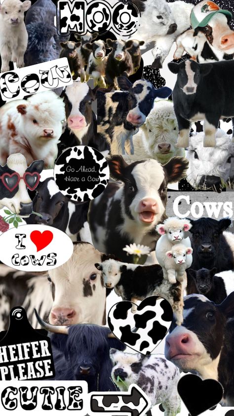 Pet Cows, Cute Iphone Wallpaper Tumblr, Cow Wallpaper, Cute Images For Wallpaper, Western Wallpaper Iphone, Cow Print Wallpaper, Cute Home Screen Wallpaper, Cutee Animals, Flip Book Animation