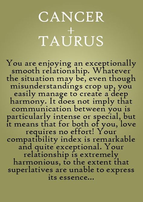 Taurus Love Match, Taurus Things, Taurus Compatibility, Taurus Zodiac Facts, Taurus Quotes, Taurus Women, Taurus Love, Taurus Woman, Zodiac Signs Taurus