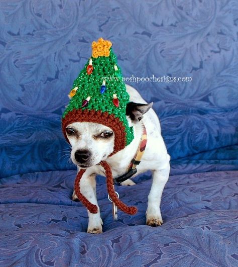 Awesome dog hat crochet pattern! Posh Pooch Designs Dog Clothes: Christmas Tree Dog Hat Crochet Pattern Dog Beanie Pattern, Crochet Dog Hat, Skeleton Dog, Crochet Dog Clothes, Crochet Christmas Hats, Christmas Tree Dog, Dog Beanie, Christmas Tree Hat, Crochet Dog Sweater