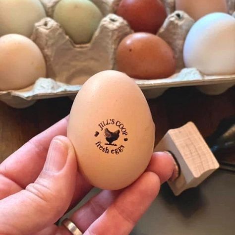 "Egg Stampers For Chicken Eggs are a great solution for personalizing the eggs from your backyard coop, farm or homestead. Not a chicken keeper but know one? A custom stamper makes a cute gift, perfect for hostess gifts, housewarmings, birthdays, and holidays. Pick the NUMBER of egg stamps from the above photos. 💗 No customization with this stamp, but if you would like to personalize an egg stamp, choose this listing: https://www.etsy.com/listing/599150226 🇱🇷 MADE IN THE USA HOW TO ORDER 🐔 T Rescue Farm, Egg Stamps, Egg Logo, Backyard Coop, Vegetable Market, Egg Stamp, Egg Packaging, Funny Eggs, Egg Shop