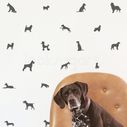 Stamp Wall, Puppy Pattern, Dog Outline, Striped Walls, Flower Wall Decals, Dog Decals, Pattern Wall, Types Of Painting, Dog Stickers