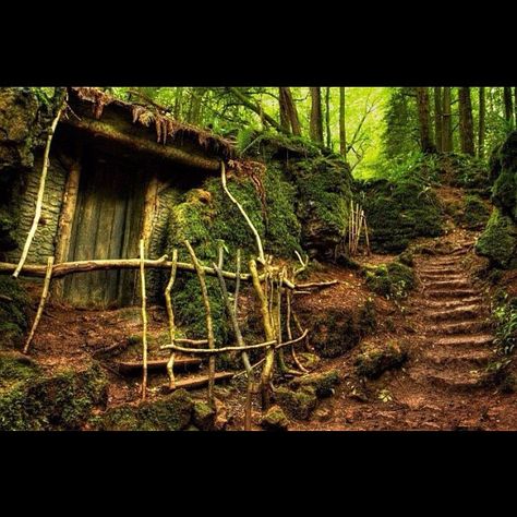 Instagram post by Michaelle Guidry • Jul 26, 2012 at 1:51pm UTC Cool Forts, Puzzle Wood, Ashley Taylor, A Room With A View, Wood Forest, Forest Of Dean, Hdr Photos, Room With A View, Magical Garden