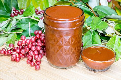 The 3 Foragers: Foraging for Wild, Natural, Organic Food: Autumn Olive Recipe- Autumn Olive BBQ Sauce Autumn Olive Recipes, Olive Recipe, Olive Pasta, Olive Dip, Autumn Olive, Olive Recipes, Foraged Food, Summer Foods, Living Simply