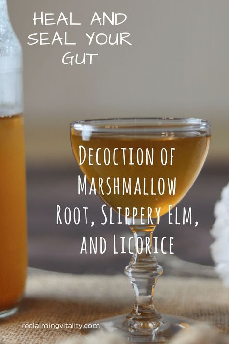 Slippery Elm Tea, Herbal Medicine Recipes, Slippery Elm Bark, Slippery Elm, Marshmallow Root, Herbal Tinctures, Herbal Recipes, Natural Healing Remedies, Natural Antibiotics