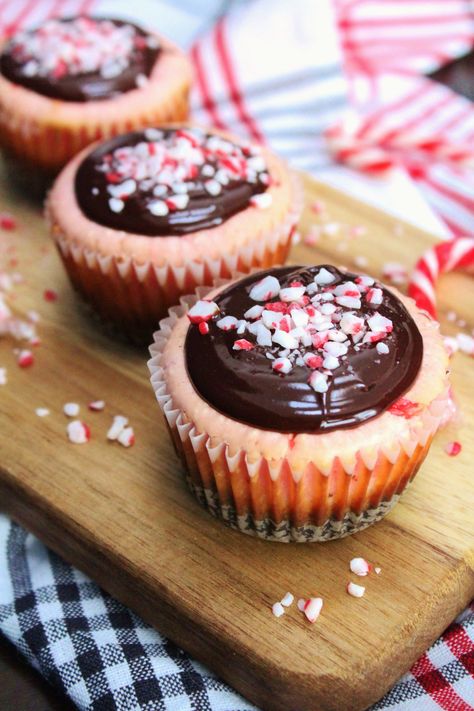 Mini Peppermint Mocha Cheesecakes - celebrate the season with a festive bite sized holiday treat that is perfect for entertaining! Creamy peppermint cheesecake with a mocha crust is topped with decadent chocolate mocha ganache and crushed candy canes. Mocha Ganache, Cheesecake Minis, Mocha Cheesecake, Hot Chocolate Fudge, New Year's Desserts, Peppermint Cheesecake, Party Food Dessert, Vegan Candies, Chocolate Mocha