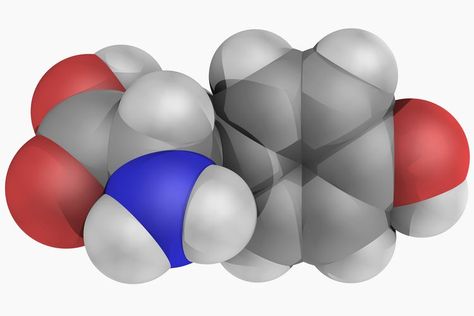 What Are the Health Benefits of Tyrosine? Depolarization And Repolarization, Calendula Tea, Bi Polar Disorder, Amino Acid Supplements, Healthy Supplements, Healthy Eyes, Amino Acid, Brain Power, Health Supplements