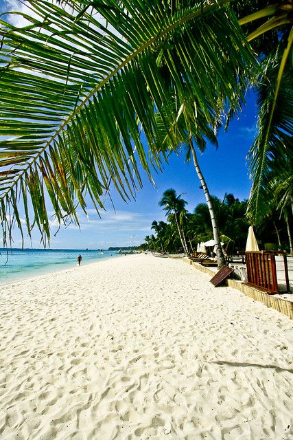 White Beach, Boracay Island, Philippines | Photo taken at St… | Flickr Philippine Holidays, Philippines Beaches, Boracay Philippines, Boracay Island, Popular Instagram, I Love The Beach, White Beach, Philippines Travel, Boracay