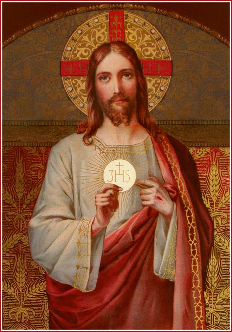 "The culmination of the Mass is not the consecration, but Communion." ~St. Maximilian Kolbe Roman Catholic Art, Maximilian Kolbe, St Maximilian, Corpus Domini, Holy Eucharist, Eucharistic Adoration, Catholic Images, Christ The King, Jesus Painting