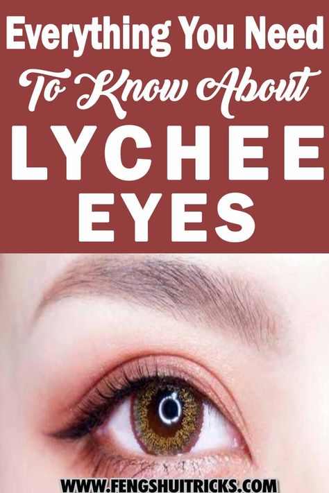 Lychee eyes are also known as round eyes and big eyes. This is a kind of eye with high and broad eyelid cleft. What makes this eye shape special? In this post, we shared everything you need to know about lychee eyes. Different Types Of Eyes, Eyes Shape, Feng Shui Basics, Common Quotes, Shape Face, Parts Of The Eye, Computer Set, Face Reading, Types Of Eyes