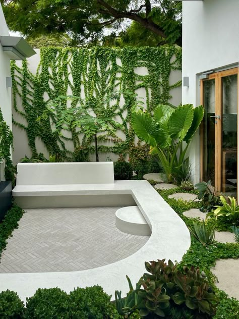 Succulents stepping stone concrete seat herringbone courtyard creeping vine Pool And Garden Design, Living Pool, Pool And Garden, Courtyard Gardens Design, Courtyard Design, Backyard Garden Design, Backyard Inspo, Garden Pool, Courtyard Garden