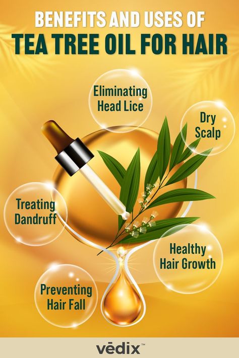 benefits of tea tree oil for hair Tea Tree Oil For Hair, How To Treat Dandruff, Home Remedies For Dandruff, Oils For Dandruff, Scalp Itch, Benefits Of Tea, Types Of Fungi, Oil For Hair, Natural Cleanser