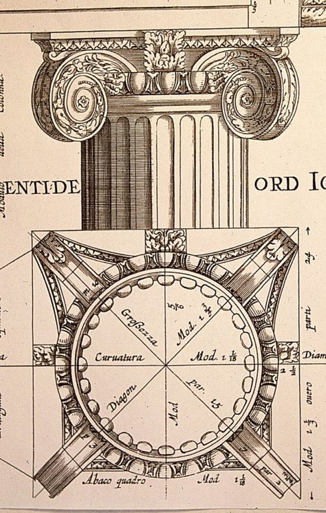 Doric Order, Ionic Order, Marble Pillar, Architecture Antique, Ionic Column, Roman Architecture, Architectural Prints, Architectural Drawing, Classic Architecture