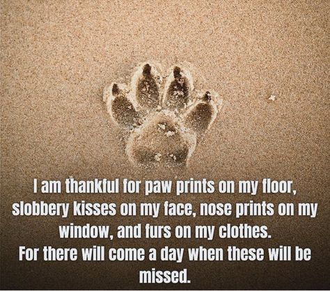 Losing A Dog Quotes, Losing A Pet Quotes, Miss My Dog, Dog Poems, Dog Quotes Love, I Am Thankful, Loyal Dogs, Losing A Pet, Paw Prints